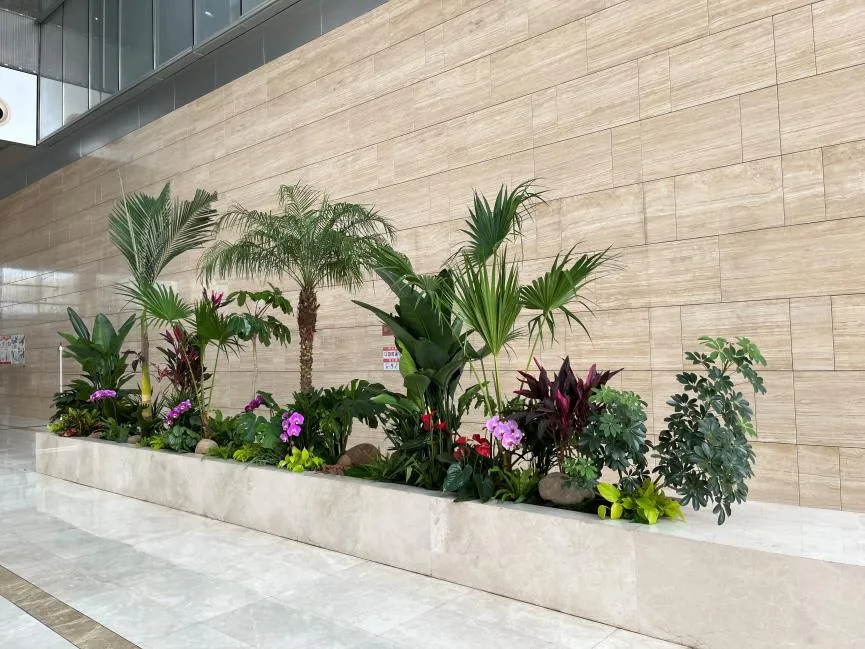 想找奉化绿植租赁公司？这里有超棒选择